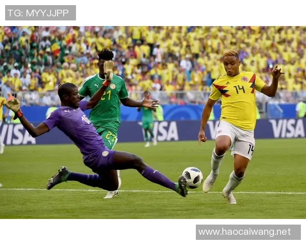 巴西对阵哥斯达黎加半全场胜负分析及预测 巴西对阵哥斯达黎加半全场胜负分析及预测