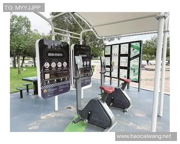 优质户外体育器材厂家推荐助您提升运动体验与健康生活