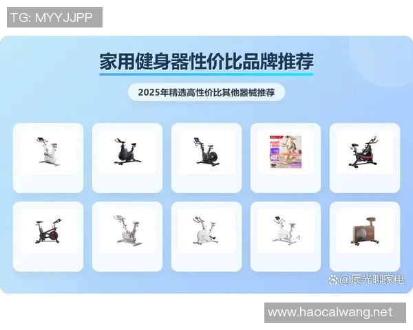 全面解析体育健身器材分类及其功能特点助你选择合适的健身装备