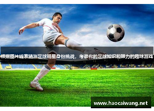 根据图片线索猜测足球明星身份挑战，考察你的足球知识和眼力的趣味游戏