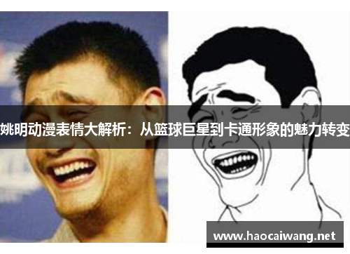 姚明动漫表情大解析：从篮球巨星到卡通形象的魅力转变