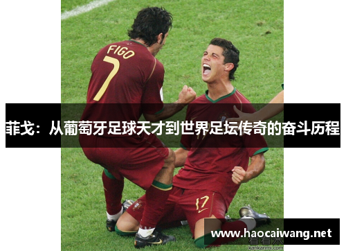 菲戈：从葡萄牙足球天才到世界足坛传奇的奋斗历程