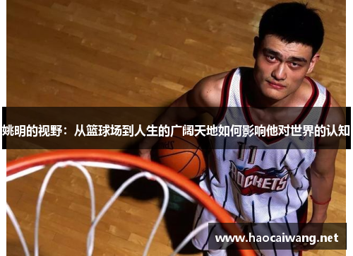 姚明的视野：从篮球场到人生的广阔天地如何影响他对世界的认知