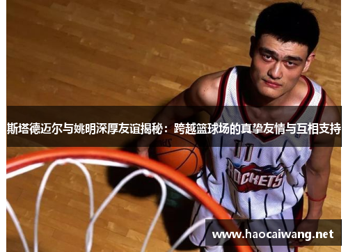 斯塔德迈尔与姚明深厚友谊揭秘：跨越篮球场的真挚友情与互相支持
