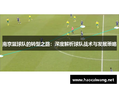 南京篮球队的转型之路：深度解析球队战术与发展策略